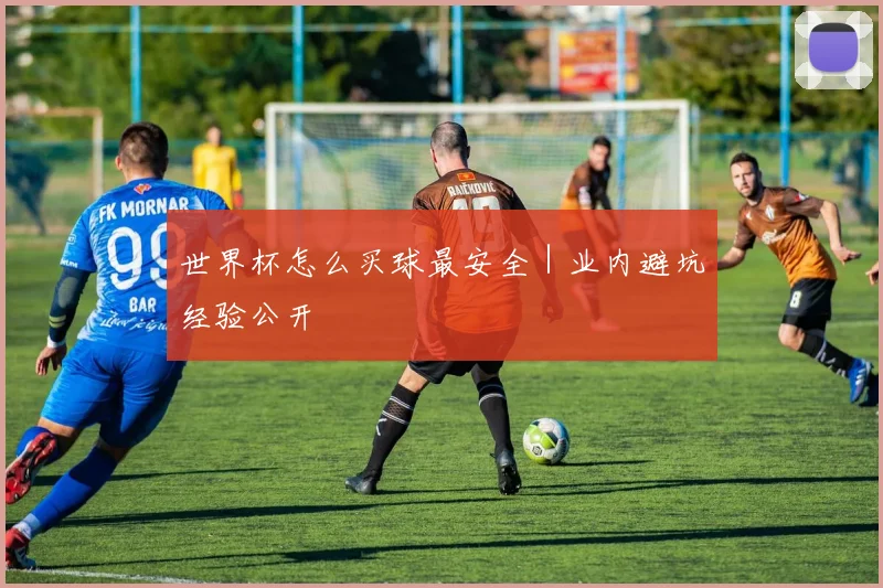 世界杯怎么买球最安全｜业内避坑经验公开