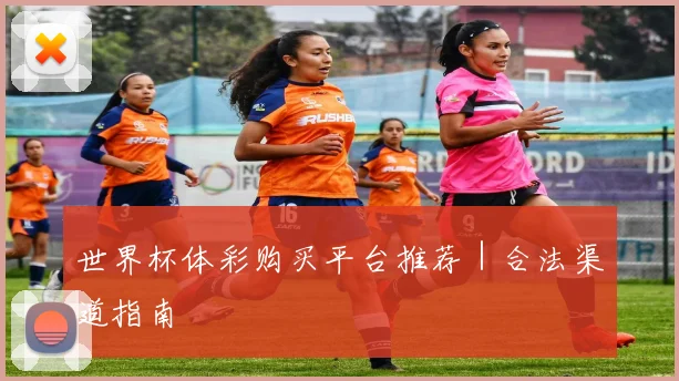 世界杯体彩购买平台推荐｜合法渠道指南