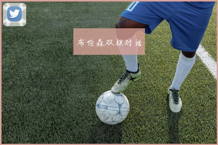布伦森双核对话