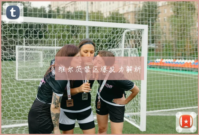维尔茨禁区爆发力解析